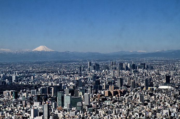 东京塔5.jpg